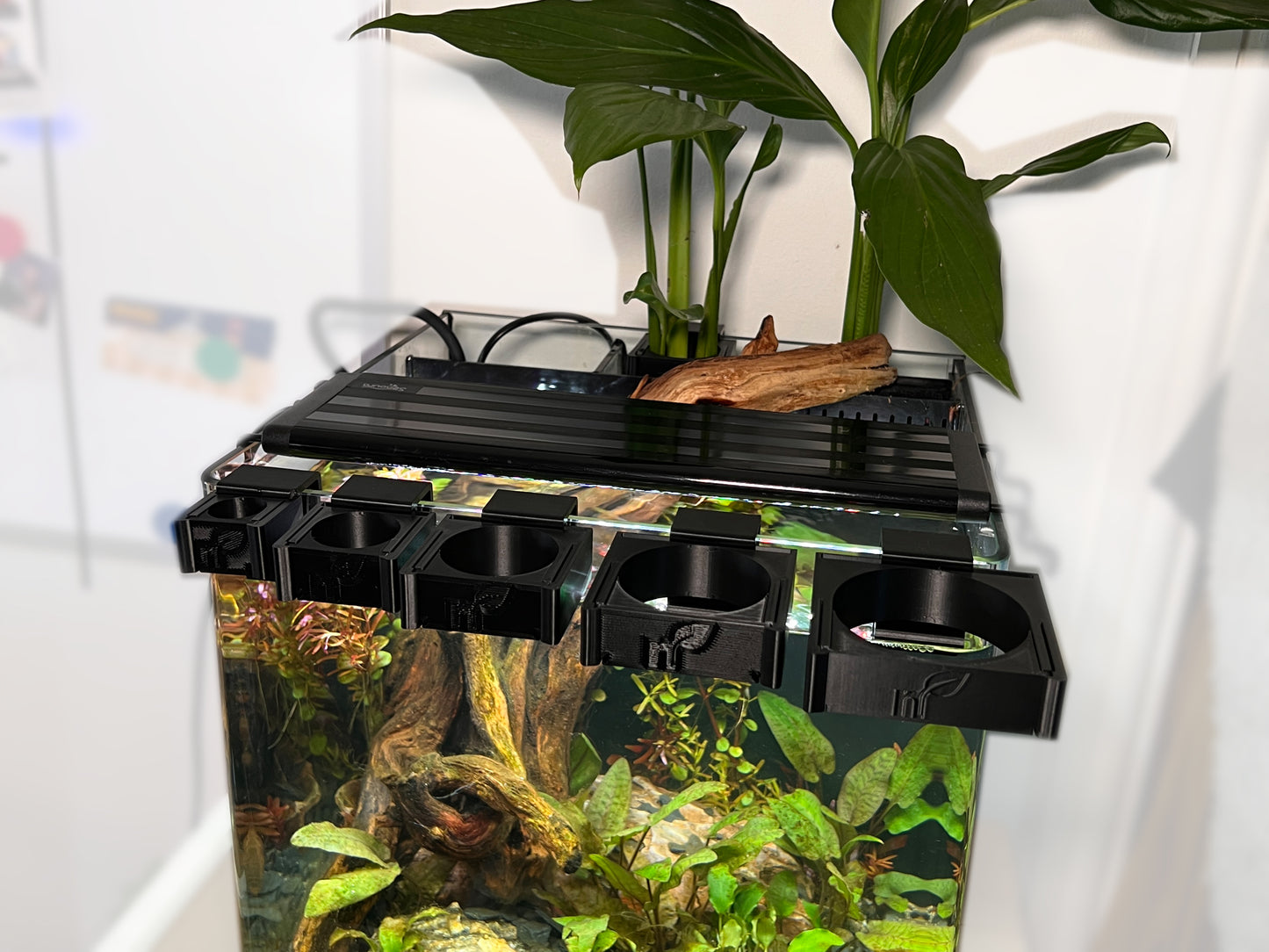 Clip'N'Grow SLIM - RIMLESS - BLACK - Aquarium Propagation Holder - Secure Attachment Solution for Aquatic Plants