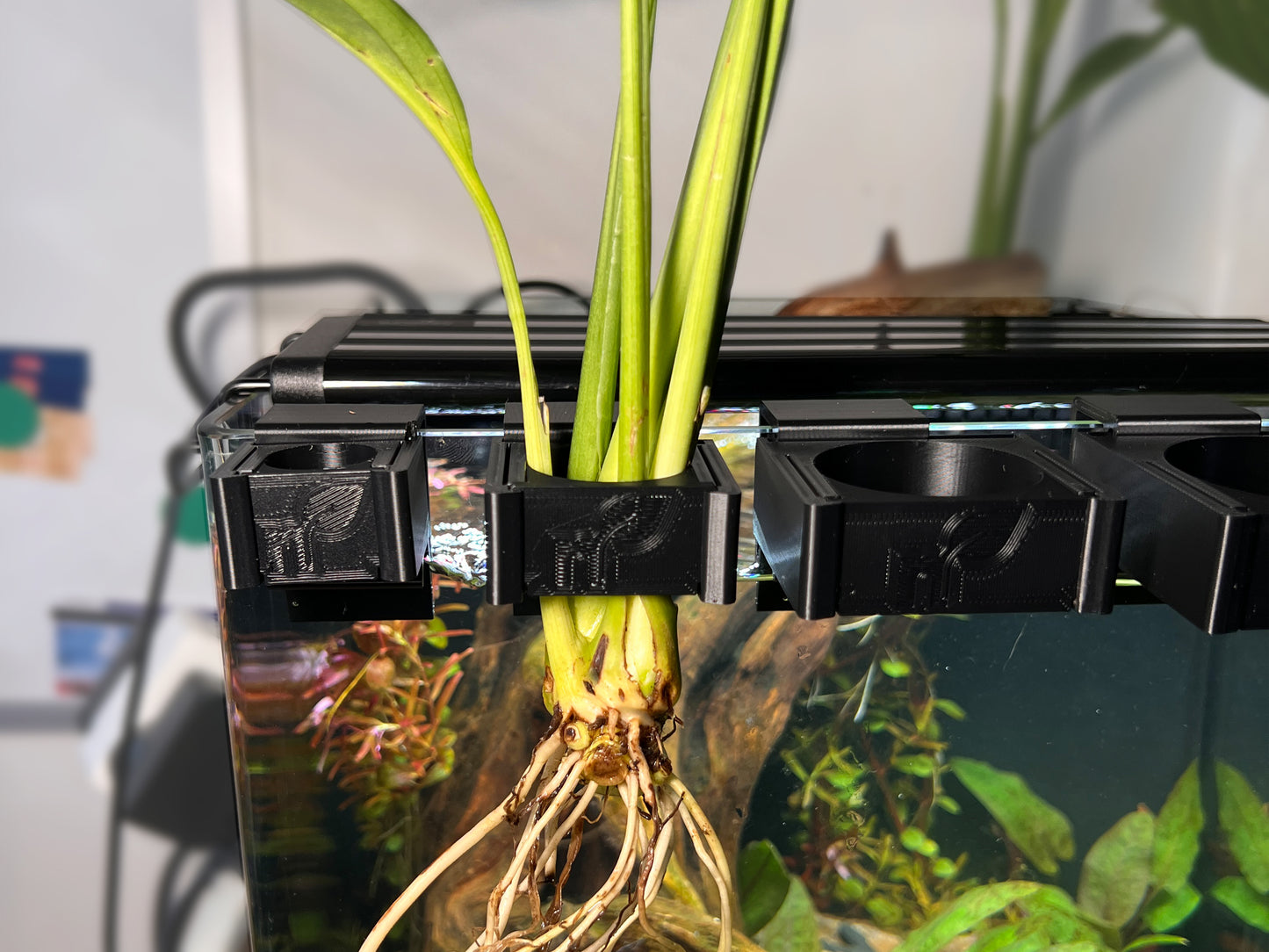 Clip'N'Grow SLIM - RIMLESS - BLACK - Aquarium Propagation Holder - Secure Attachment Solution for Aquatic Plants